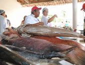 Busca pelo pescado se intensifica às vésperas da Semana Santa