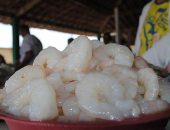 Busca pelo pescado se intensifica às vésperas da Semana Santa