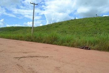 corpo foi encontrado na beira da estrada com sinais de golpes de faca