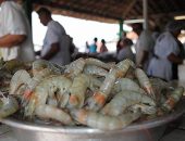 Busca pelo pescado se intensifica às vésperas da Semana Santa