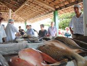 Busca pelo pescado se intensifica às vésperas da Semana Santa