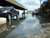 Corrida pelo pescado: consumidores lotam mercado e balanças nesta quinta