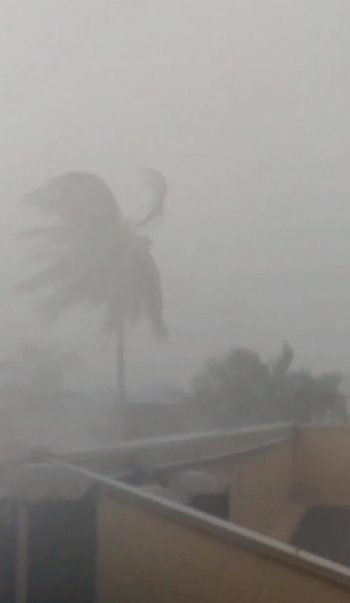 Chuva torrencial no sertão