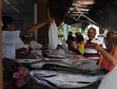 Busca pelo pescado se intensifica às vésperas da Semana Santa