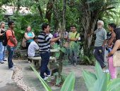 Estudantes visitam IMA e conhecem jardineto e Herbário Mac