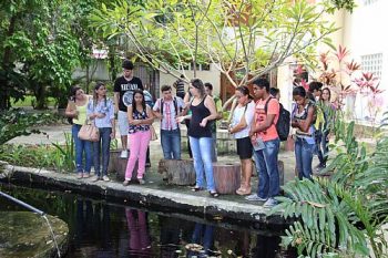 Estudantes visitam IMA e conhecem jardineto e Herbário Mac