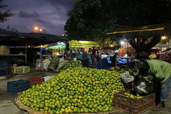 Os trabalhadores se preparando para mais uma Feira Camponesa organizada pela CPT/AL