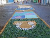 Campo Alegre: Corpus Christi écelebrado com tradicional procissão do tapete