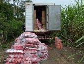 Rastreador ajudou o trabalho da polícia