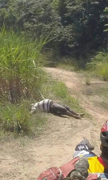 Corpo de empresário é encontrado por grupo de ciclista durante trilha