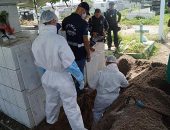 PC divulgou fotos do corpo exumado no Cemitério de São José