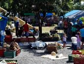 Feira Camponesa Itinerante comercializa alimentos sem venenos