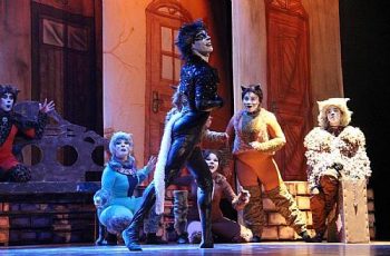 ‘Os Gatos’ retornam ao Teatro Deodoro