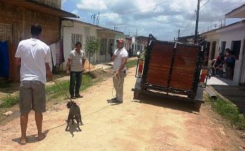 Uma das vítimas foi uma criança que desmaiou e foi socorrida pelo Samu.