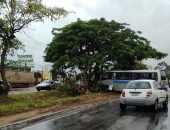 Micro-onibus roda e colide em árvore na Durval de Góes Monteiro