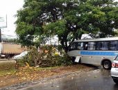 Micro-onibus roda e colide em árvore na Durval de Góes Monteiro