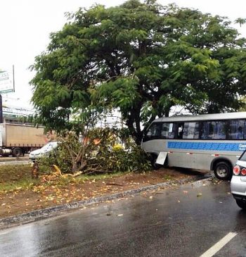 Micro-ônibus roda e colide em árvore na Durval de Góes Monteiro