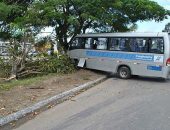 Micro-ônibus roda e colide em árvore na Durval de Góes Monteiro