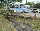 Micro-ônibus roda e colide em árvore na Durval de Góes Monteiro