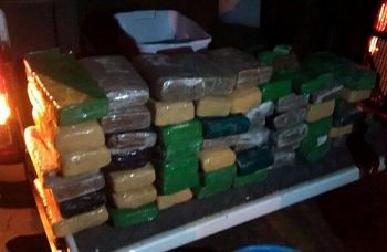 Cocaína estava embalada e parte da maconha em uma bacia