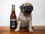 Lojas vendem produtos temáticos para pets para ceia de Natal, como cerveja para cães