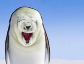 Artista americana imagina como seriam os filhotes de focas com pinguins