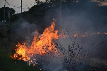 O fogo - que é comum nessa época do ano - estava próximo à rodovia e a fiação de alta tensão.