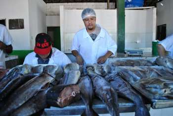 Preço dos peixes variam entre R$ 10 e R$ 35 reais o quilo