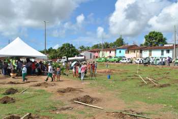 Ao todo serão 7 mil mudas plantadas ao redor de todo o complexo