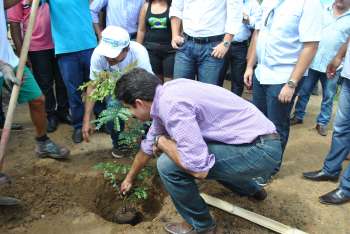 Ao todo serão 7 mil mudas plantadas ao redor de todo o complexo