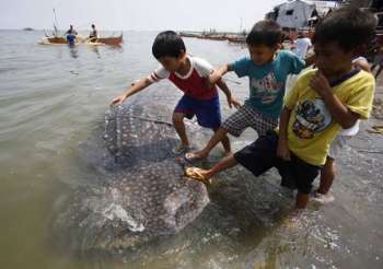 As crianças brincam com o animal morto, ainda na água (Foto: Erik de Castro / Reuters)