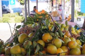 Na oportunidade, os interessados podem frutas, verduras e outros produtos sem agrotóxicos da agricultura familiar (Foto: Petrônio Viana) 