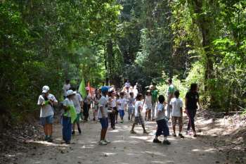 ecoferias