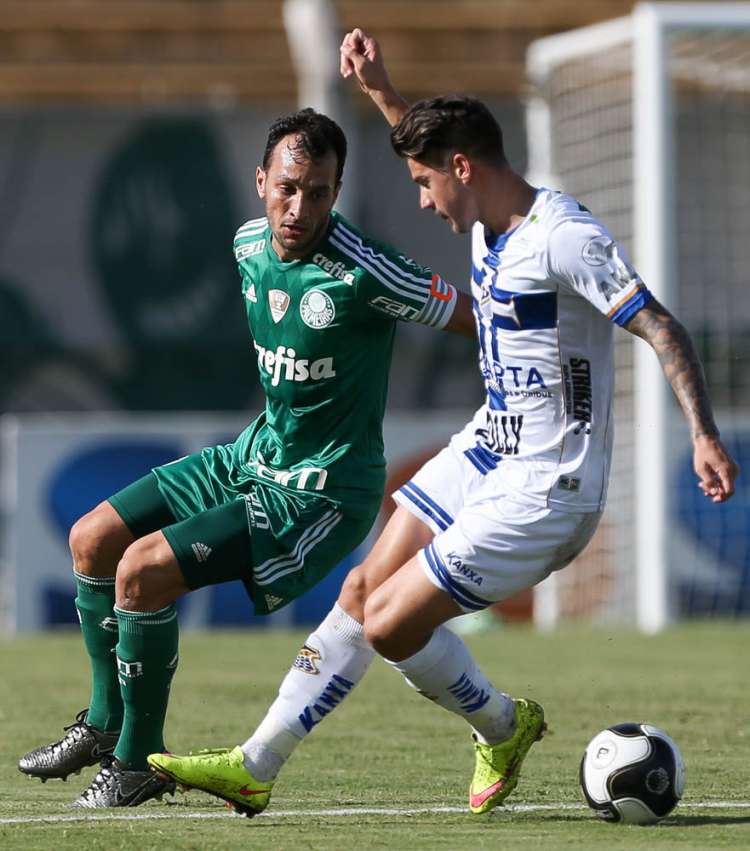 20160327_cgap_palmeiras_7405_26