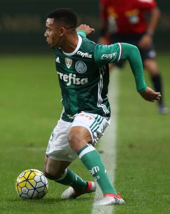 Palmeiras