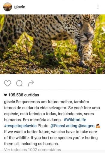 Print de post de Gisele Bündchen sobre a morte da onça Juma 