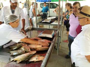 Feira do Peixe Vivo