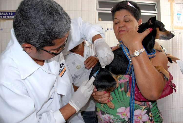 ABERTURA DA CAMPANHA ANTI RABICA    foto olival santos (85)