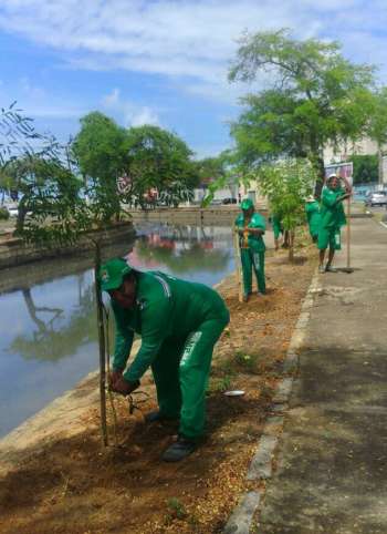 Semds inicia arborização no entorno do Riacho Salgadinho (1)