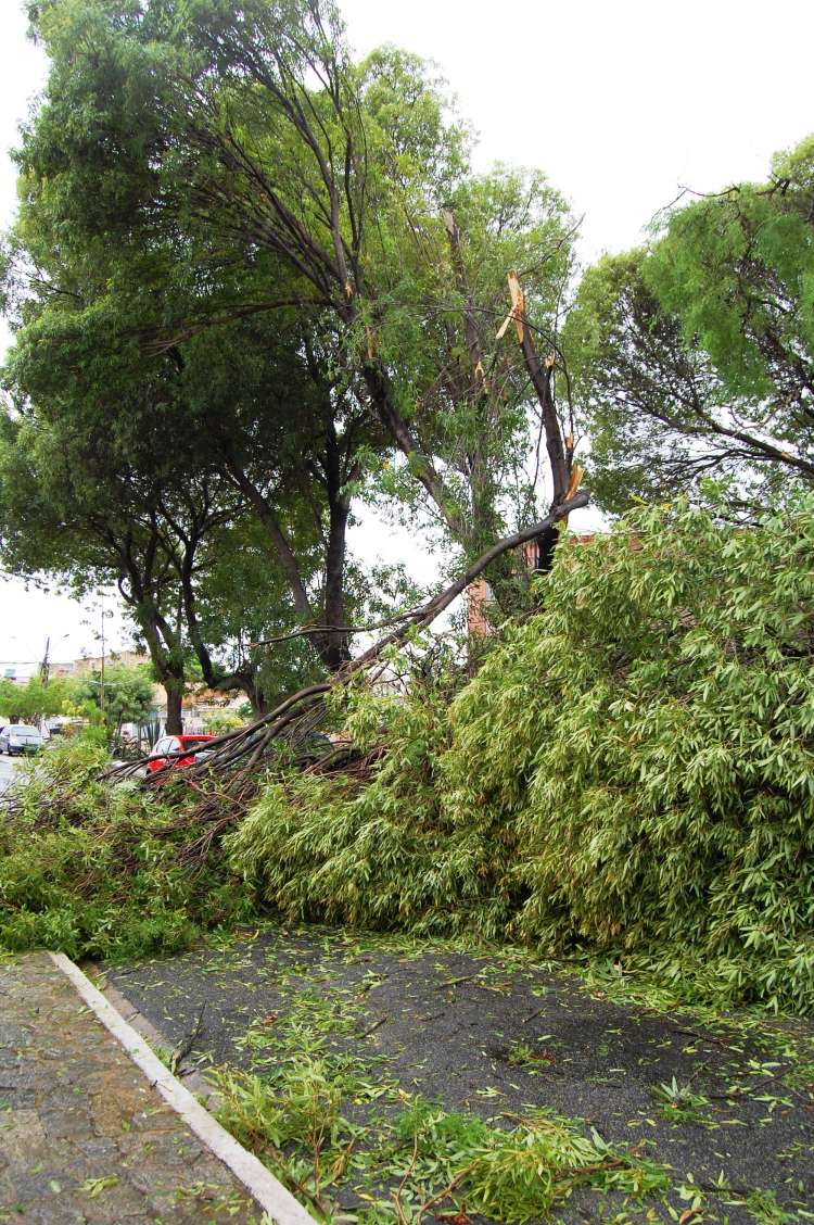 Chuvas já provocaram destruição em Maceió