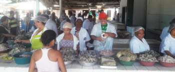 Pescado é vendido na antiga Vila do Jaraguá