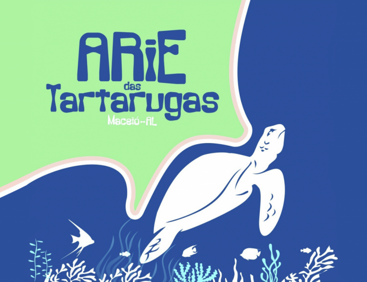 tartaruga5