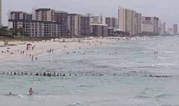 Corrente humana de 80 banhistas salva família de afogamento em praia na Flórida