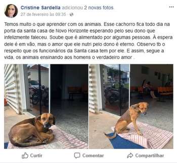 Cão espera durante quatro meses