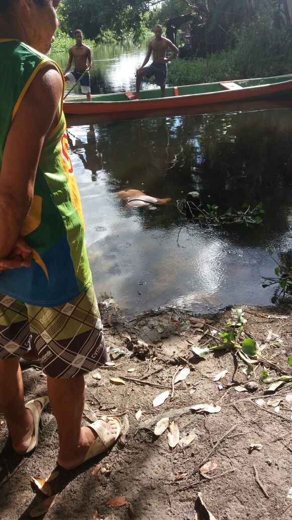 Corpo foi encontrado por pescadores na manhã desta terça (10)