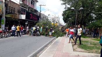 Galhos de árvore caem em cima de carro em movimento em Arapiraca