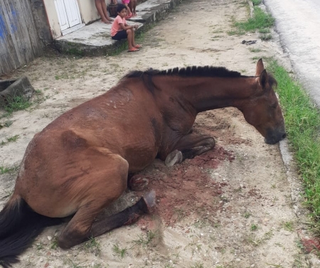 Polícia busca suspeito de matar a facadas jovem a cavalo durante
