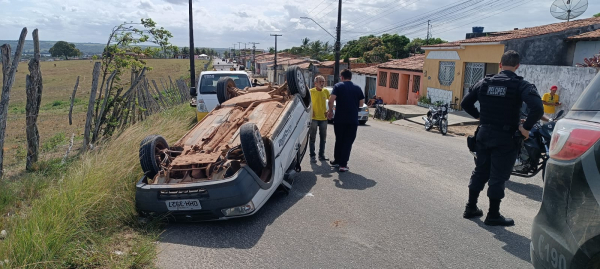 Cavalo morre após ser esfaqueado em Penedo, AL, Alagoas