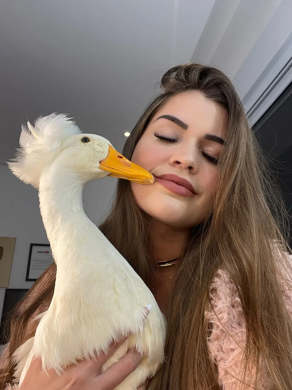 Influencer que riu de cão sufocando diz que as pessoas entenderam 'de forma  errada' - 180graus - O Maior Portal do Piauí