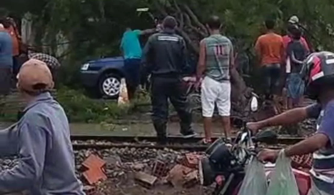 Notícias de Arapiraca e municípios do Agreste de Alagoas - Alagoas